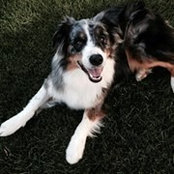 Mélanie Bouchard's photo
