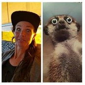 Jenny Kjellbom's photo