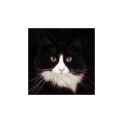 Diane Johnson Parker's photo