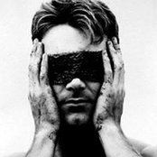 Massimo Stangabiano's photo