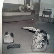 Foto von Debbie Terry Yates