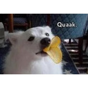 Julia Hein's photo