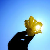 Brenda Abel's photo