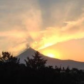 Lisa Brady's photo