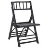 Safavieh Maja Rattan Folding Accent Chair, Black