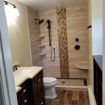 master bathroom redesign/renovation