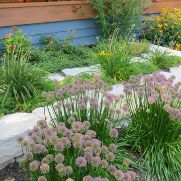 Long Grove Back Yard Renovation