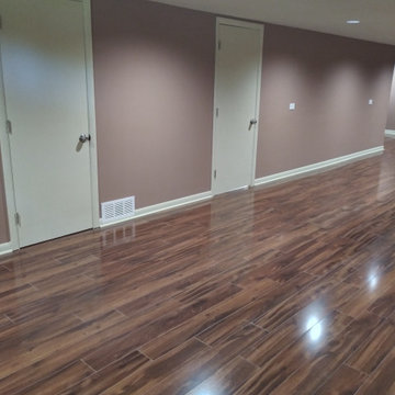 Mount Prospect Basement & Bathroom