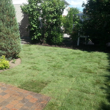 2014 Sodding After Pictures