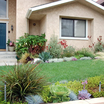 Colorful front yard