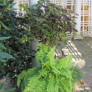 Pool and Perennial Garden