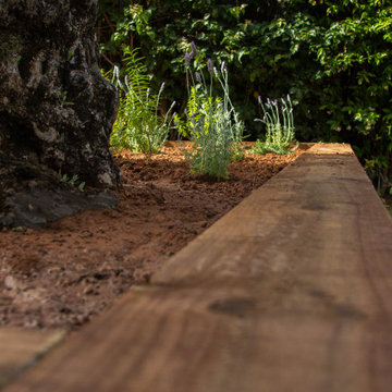 JARDINERA CON OLIVO (Castellón)