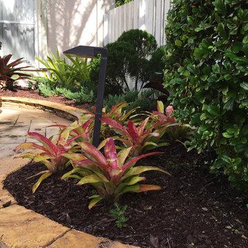 Alberto Lizarazo’s Garden