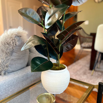 Faux Rubber Plant with Light Grey Vase