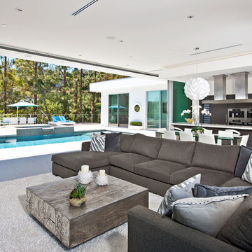 Contemporary Living Room
