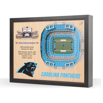 NFL Carolina Panthers 25-Layer Stadiumviews 3D Wall Art