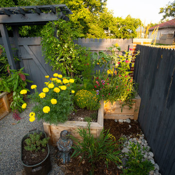 Edible Eden Side Yard
