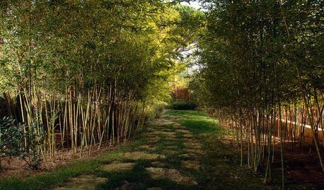 How to Make Your Garden Sing