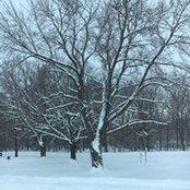 Linda Ruble's photo