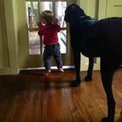 Foto de Jared Smith

