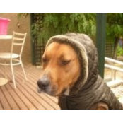Yasmin Jones's photo