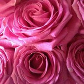 Susan J. Charbonneau's photo