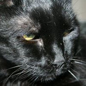 Charles Geake's photo