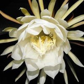 Nancy Cardin's photo