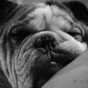 Sandee Adams's photo