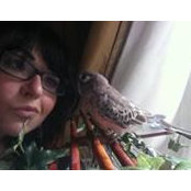 Megan Ruhl's photo