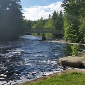 Barbara Anschutz's photo