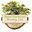 Speed Hardwood Flooring LLC