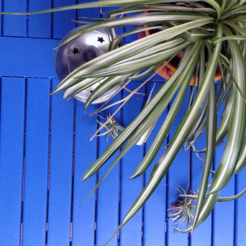 Terrasse bleue
