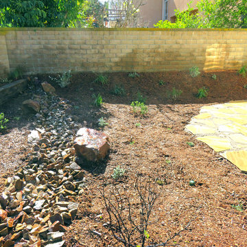 Drought Tolerant Landscape Mission Viejo