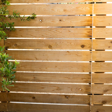 Cedar Privacy Gate