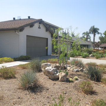 Drought Tolerant Native Tustin Garden
