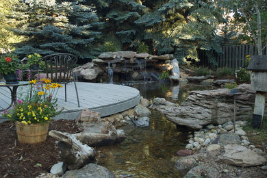 Photo of a traditional landscaping in Denver.