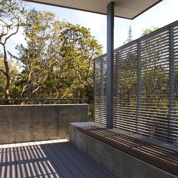 Small House in an Olive Grove