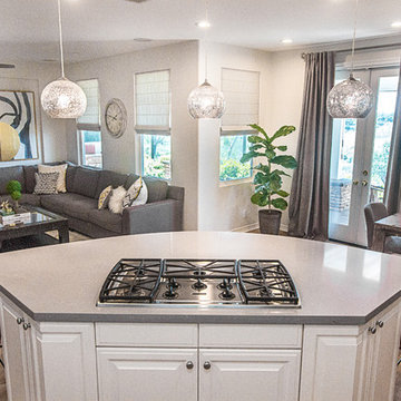 Transitional Kitchen and Living Room