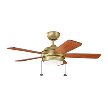 Ceiling Fans