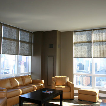 Curtain Call Roller Shade and Roller Blind