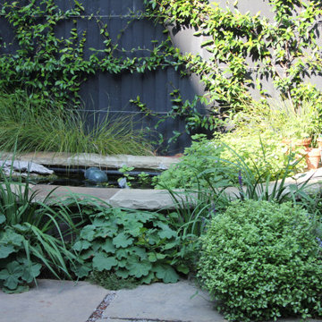 Urban oasis