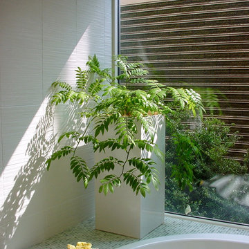 Plants.L