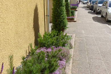 Projekt: Gatuplantering bostadsrättsförening, Borås