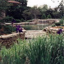 felecia_whites's ideas