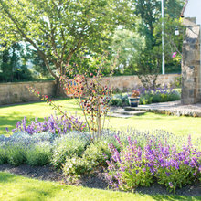 Landscape Ideas