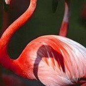 Foto von Nancy Ingram