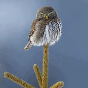 Tracey Phillips's photo