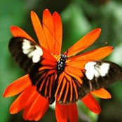 Barbara Boddery Linn's photo