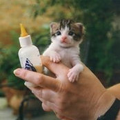 Robyn Bailey's photo